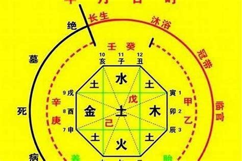 生辰八字姓名|生辰八字算命、五行喜用神查询（免费测算）